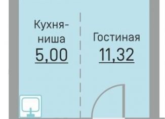 Продам квартиру студию, 27.2 м2, деревня Кондратово, Водопроводная улица, 6/4