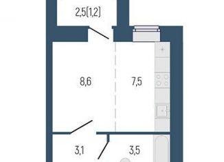 1-комнатная квартира на продажу, 24.3 м2, Берёзовский