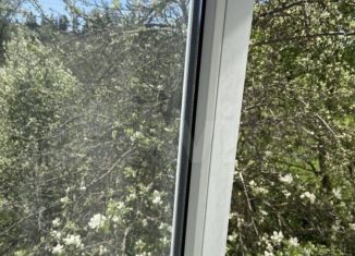 Сдам 2-комнатную квартиру, 48 м2, деревня Белогорка, Институтская улица, 12