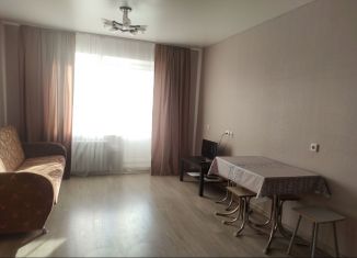 Квартира в аренду студия, 27 м2, село Михайловка, Сливовая улица, 6