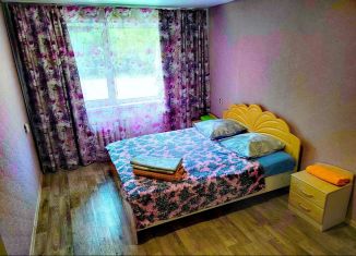 2-ком. квартира в аренду, 48 м2, Алтайский край, улица Чкалова, 30