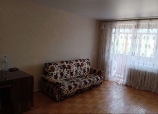 Аренда 1-комнатной квартиры, 30 м2, Нижегородская область, улица Чапаева, 2А