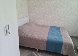 Сдается дом, 50 м2, Республика Алтай, Новая улица