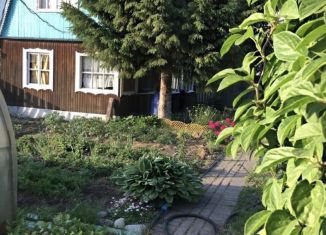 Сдается в аренду дача, 40 м2, Новосибирская область, территория садоводческого товарищества Зелёный Мыс, 89