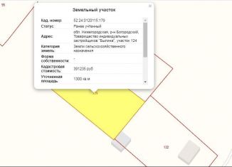 Земельный участок на продажу, 25 сот., Нижегородская область