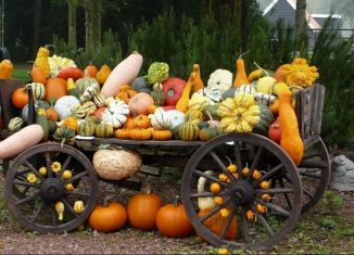 Продаю дачу, 20 м2, Липецк