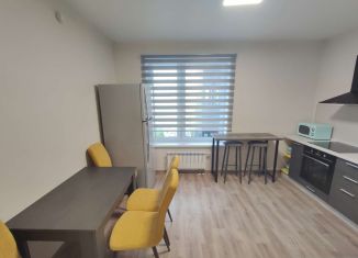 Сдаю в аренду 2-ком. квартиру, 78 м2, Воронеж, улица Хользунова, 9/4