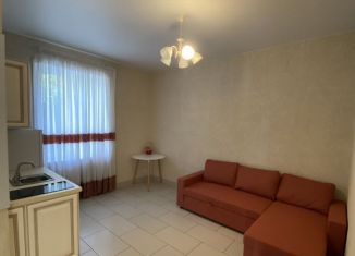 Сдается квартира студия, 22 м2, деревня Лапшинка, деревня Лапшинка, 130соор1