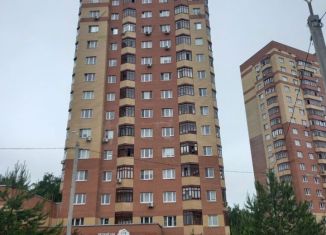 Продажа квартиры студии, 29 м2, деревня Щемилово, улица Орлова, 8