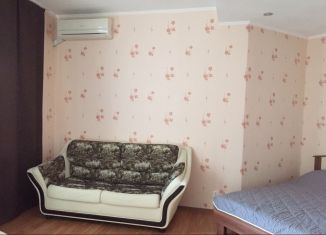 Сдаю в аренду квартиру студию, 40 м2, Челябинская область