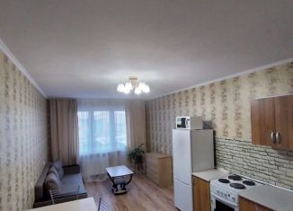 Продажа 1-комнатной квартиры, 41 м2, Краснодарский край, улица Адмирала Пустошкина, 22к4