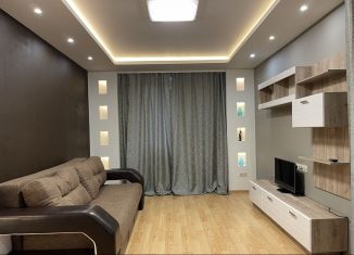 Сдается 1-ком. квартира, 44 м2, Санкт-Петербург, Петергофское шоссе, 17к1, муниципальный округ Южно-Приморский