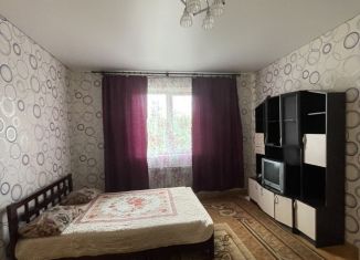 1-ком. квартира в аренду, 40 м2, Миллерово, улица Алексея Кармазёва, 9