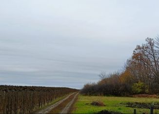 Продается участок, 10 сот., село Гудовка