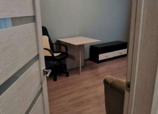 Сдам однокомнатную квартиру, 33 м2, Санкт-Петербург, улица Морской Пехоты, 10к1, метро Автово