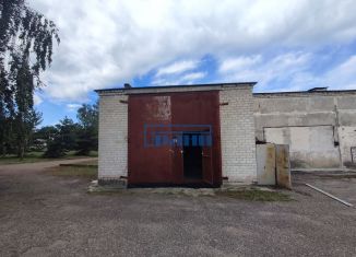Сдам складское помещение, 600 м2, Курская область, деревня Каменево, 4
