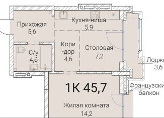 Продажа однокомнатной квартиры, 45.7 м2, Новосибирская область, Овражная улица, 2А