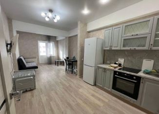 Сдача в аренду 1-комнатной квартиры, 55 м2, Иркутск, улица Терешковой, 15Б, ЖК Чайка