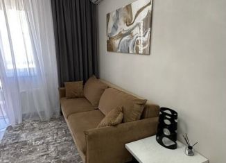 Сдается 1-ком. квартира, 40 м2, деревня Раздоры, деревня Раздоры, 4