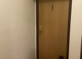 2-комнатная квартира в аренду, 44.6 м2, Москва, проспект Будённого, 27к4