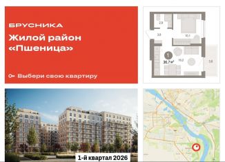 Продажа 1-ком. квартиры, 36.7 м2, Новосибирская область