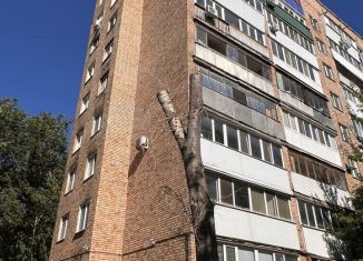 Двухкомнатная квартира на продажу, 49 м2, Самара, улица Тухачевского, 253, Железнодорожный район