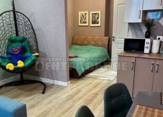 Продам квартиру студию, 32 м2, деревня Киселёвка, Луговая улица, 3