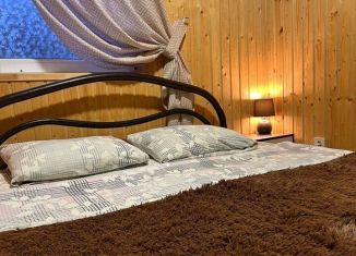 Сдается в аренду дом, 40 м2, Ставропольский край, Ореховая улица, 35