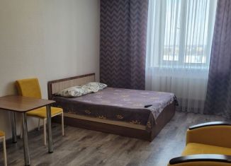 Сдается в аренду квартира студия, 26 м2, Пермский край, улица Куйбышева, 109А