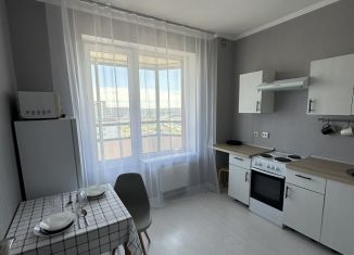 Однокомнатная квартира в аренду, 33 м2, Мурино, улица Шувалова, 1, ЖК Гринландия