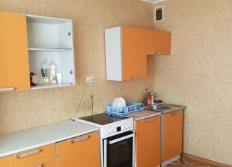 Сдается 1-ком. квартира, 40 м2, посёлок Шушары, Окуловская улица