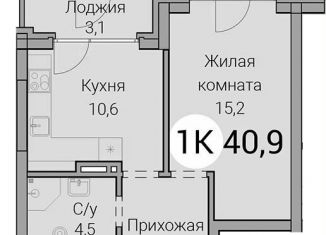 Продажа 1-комнатной квартиры, 40.6 м2, Новосибирск, Овражная улица, 2А, Заельцовский район