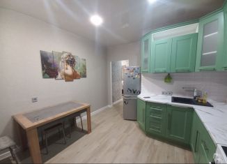 Сдается в аренду 1-ком. квартира, 44.3 м2, Тула, улица Генерала Маргелова, 9Б, ЖК Кристалл