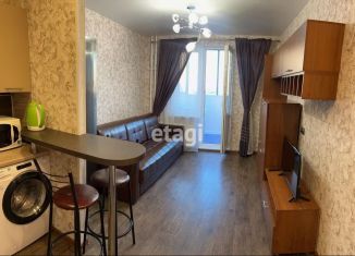 Сдаю в аренду квартиру студию, 26 м2, Санкт-Петербург, ЖК Геометрия, Лыжный переулок, 4к3