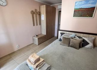 Аренда 1-комнатной квартиры, 30 м2, село Береговое, улица Грина, 21