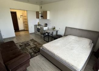 Сдается квартира студия, 33 м2, Абакан, улица Комарова