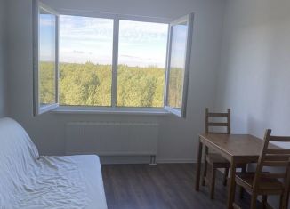 Сдача в аренду квартиры студии, 20 м2, Санкт-Петербург, Пейзажная улица, 26, метро Девяткино