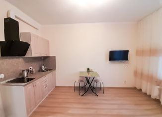 Квартира в аренду студия, 24 м2, Кудрово, Пражская улица, 4, ЖК Парклэнд