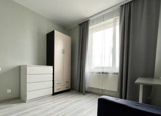 1-комнатная квартира в аренду, 29 м2, деревня Новое Девяткино, Главная улица, 56