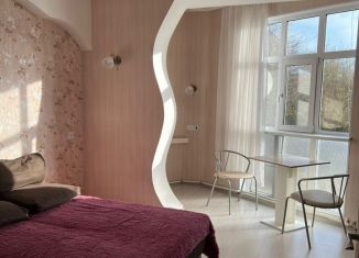 Сдается в аренду 1-комнатная квартира, 30 м2, Сочи, улица Метелёва, 6/6, микрорайон Яна Фабрициуса