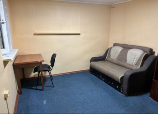 Сдам 1-комнатную квартиру, 22.7 м2, Сочи, улица Дмитриевой, 12/19, микрорайон Светлана