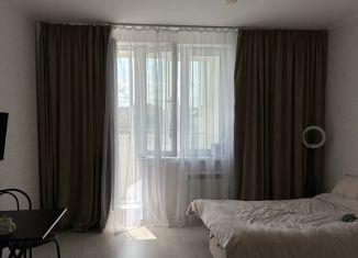 Сдается в аренду квартира студия, 25 м2, Котельники, микрорайон Новые Котельники, 8