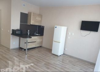 Продам квартиру студию, 30.4 м2, Артём, улица Берзарина, 11