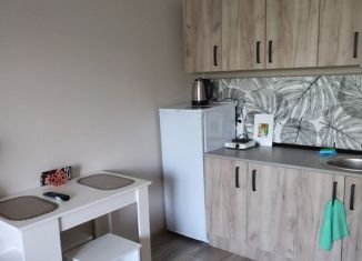 Квартира в аренду студия, 25 м2, Краснодарский край, улица Кирова, 3