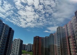 Сдаю в аренду квартиру студию, 25.8 м2, Мурино, улица Шувалова, 30