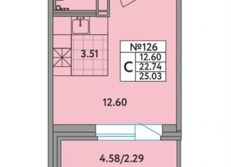 Продажа квартиры студии, 25 м2, деревня Новое Девяткино, деревня Новое Девяткино, 115, ЖК Удача