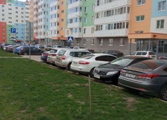 Квартира в аренду студия, 21 м2, Нижний Новгород, проспект Кораблестроителей, 62к1, проспект Кораблестроителей