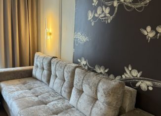 Аренда 1-ком. квартиры, 45 м2, Татарстан, Спортивная улица, 5