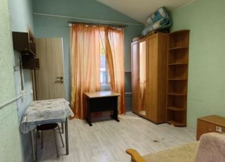 Сдам квартиру студию, 20 м2, Санкт-Петербург, 1-я Никитинская улица, 6