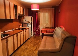 Сдача в аренду 1-ком. квартиры, 45 м2, Санкт-Петербург, улица Щербакова, 11